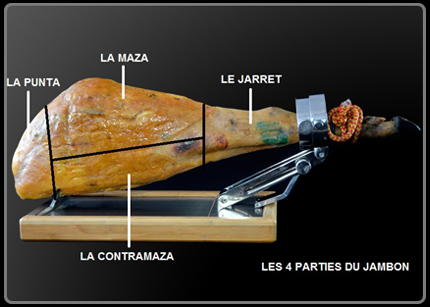 les différentes parties du jambon